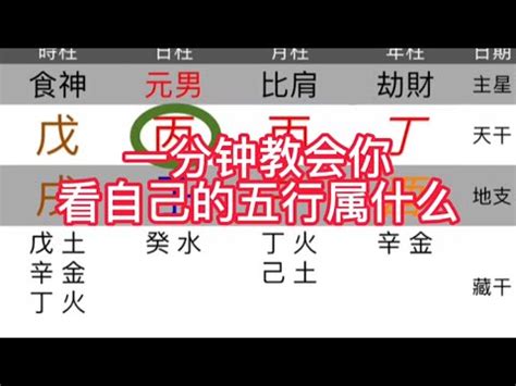 五行屬性火|生辰八字查詢，生辰八字五行查詢，五行屬性查詢